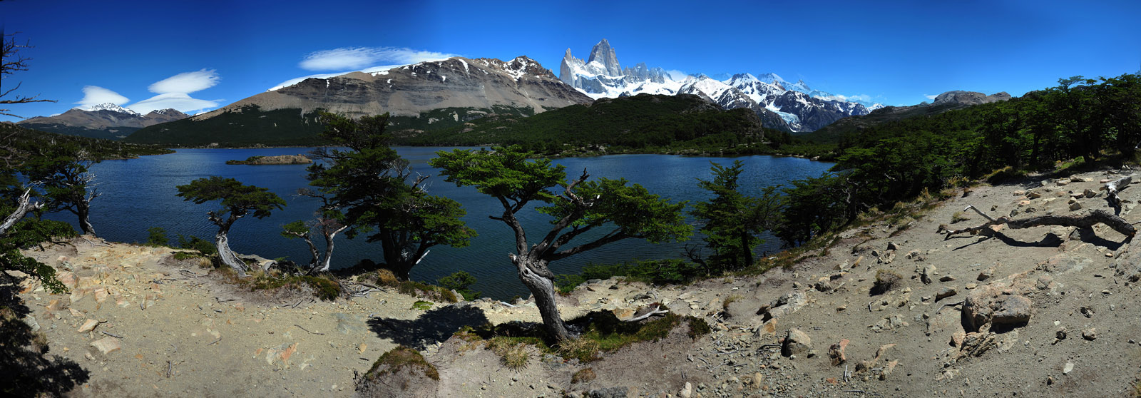 Lagocapri2